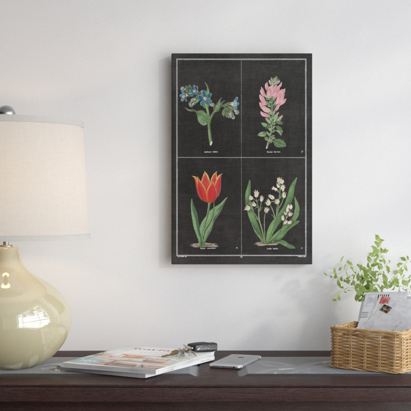 «Botanical Chart III», impression sur toile tendue, H 18 po x l 12 po x P 1,5 po, Toile tendue, Pas de tapis