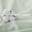 Ensemble de housse de couette 100% coton-115064463-115064456