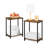 Aliyssa End Table Set-1682201866-1712075584-1712075599