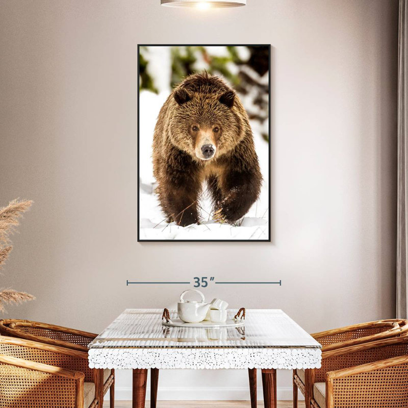 Walking Grizzly Bear, 31" X 46", Floating Frame Black