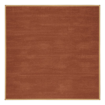 Machine Washable Solid Brown Area Rug