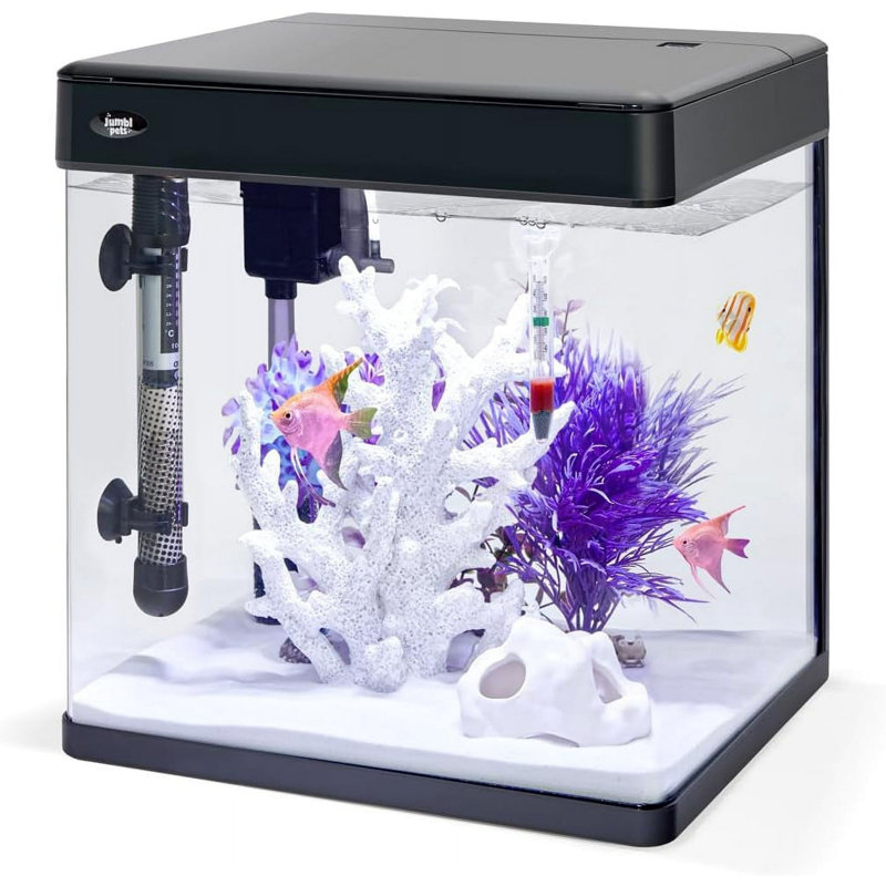 Aquarium Dereyon, 7 gallons (H 14,8 po x l 12,7 po x P 10,2 po)