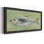 «Green Sea Swimmer II», peinture sur toile à cadre unique-2137000832