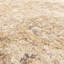 Madeleine Vintage Beige Area Rug-1221003902