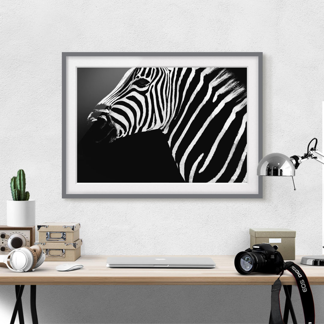 Gerahmtes Poster Zebra Safari