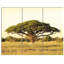 « d’acacia tree on africain plain », ensemble de 3 reproductions de photos sur toiles tendues