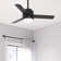 44" Gilmour 3 - Blade Damp Rated Ceiling Fan with LED Light Kit and Handheld Remote
