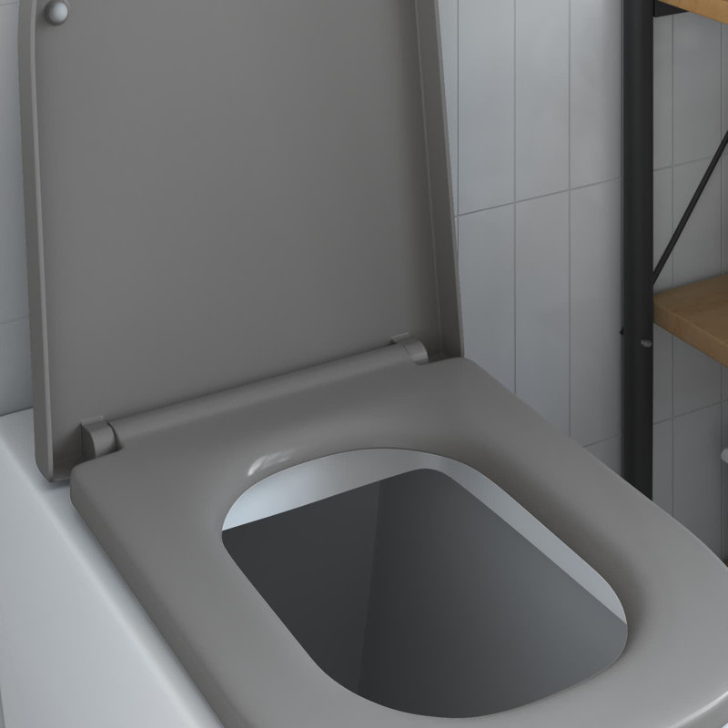 Grey Plastic Standard Adjustable Armrests Toilet Seat Oval, Grey