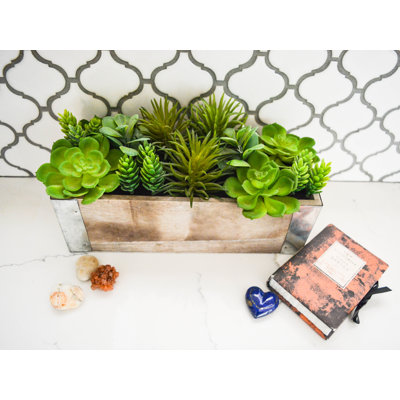 6.75'' Faux Grapevine Succulent in Wood Planter