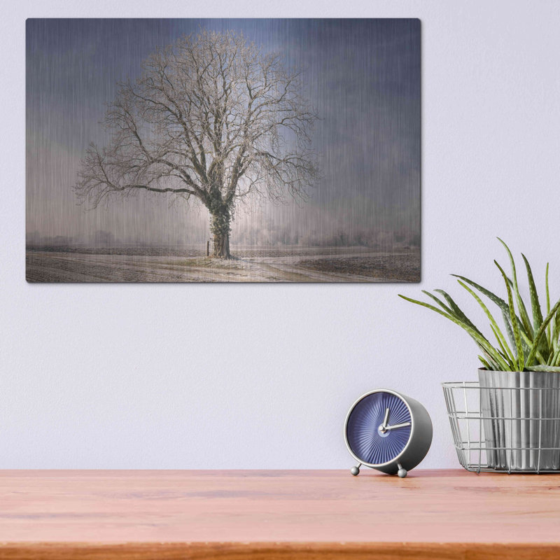 «The Tree Fairy Tale» par Philippe Sainte-Laudy, art mural en métal, 24 po x 16 po, H 12 po x l 16 po