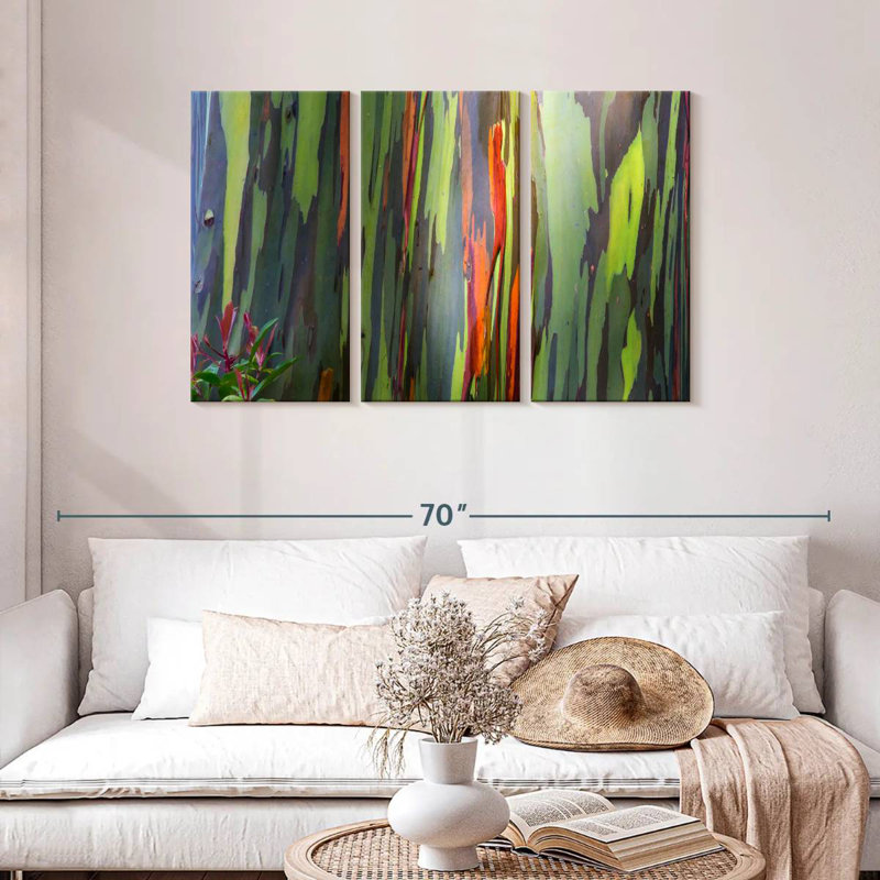 Écorce d'eucalyptus Harnek Rainbow, H 28 po x l 45 po