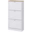 Petite armoire de rangement, armoire de rangement pour chaussures, armoire de rangement dissimulée pour chaussures