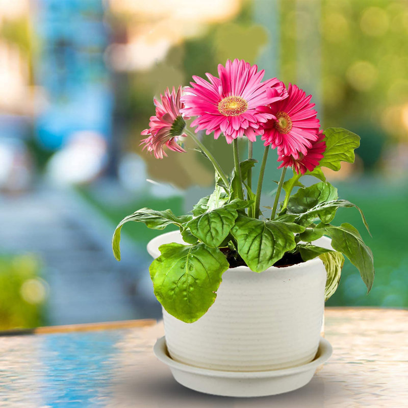 Nursery Pot, White Grey