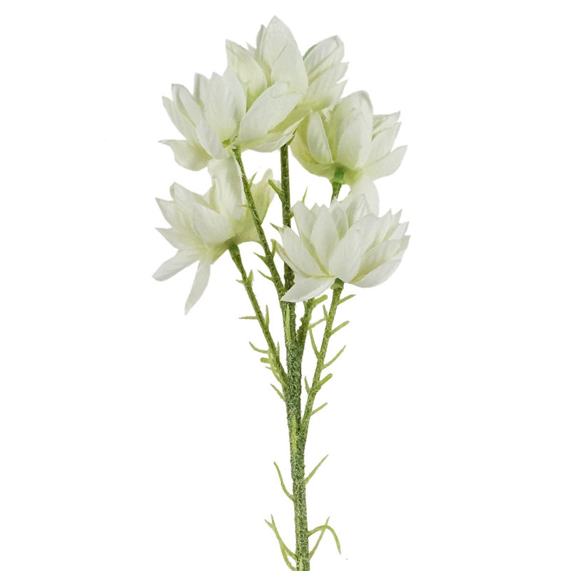 60cm White Starflower Stem