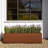 Corten Steel Series Long Box Planter-34313782