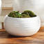 ANDERSON DECORATIVE BOWL-2071212902