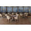 Table de salle à manger à hauteur de bar et piédestal-55808852-55808853