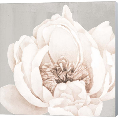 Plants & Flowers Wall Decor on Canvas