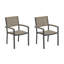 Travira Dining Arm Chair-1054275811-1016328267