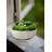 7 " H Faux Succulent in Stone Pot-1220934403