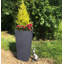 Plant Pot-795294483-788838800