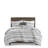 Fraser 5 Piece Printed Seersucker Comforter Set with Throw Pillows-1317767579-1305259443