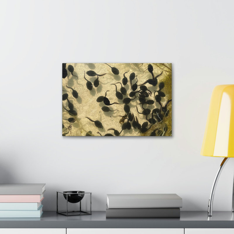 No Frame Print on Canvas, 27.94cm H x 35.56cm W