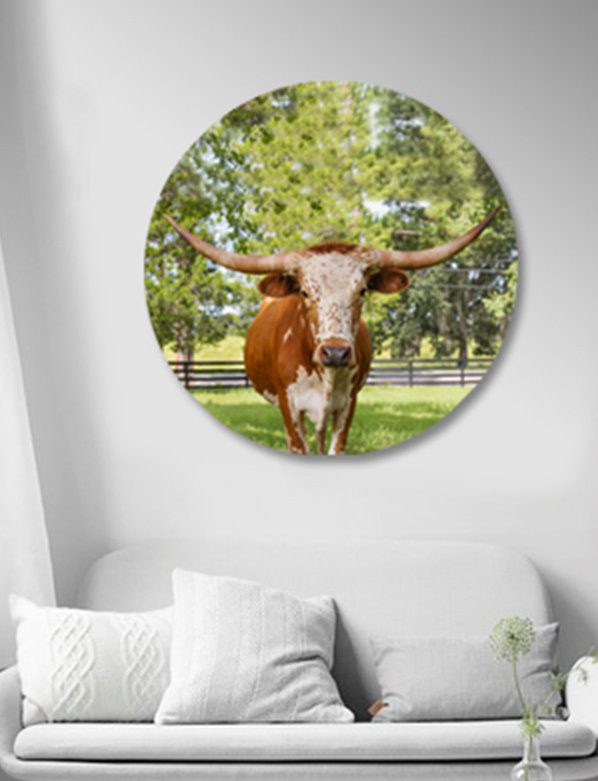Long Horn Print, 46" H x 46" W x 2.5" D