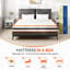 EUMCC Trading Foam Mattress-124118153