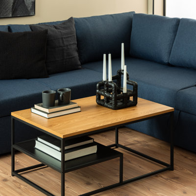 Placeeda Frame Coffee Table with Storage