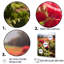 Photo Og Geraniums Field I sur toile-2098846993-2098847003