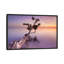 « water tree xi », reproduction de photo sur toile tendue-74297495-74297496-74297497