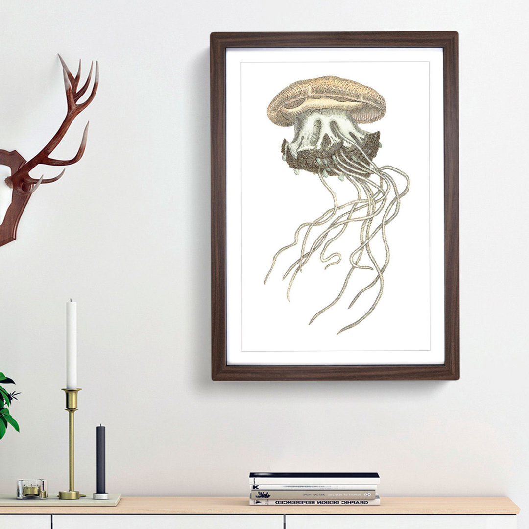 Crown Jellyfish by George Shaw - Framed Print