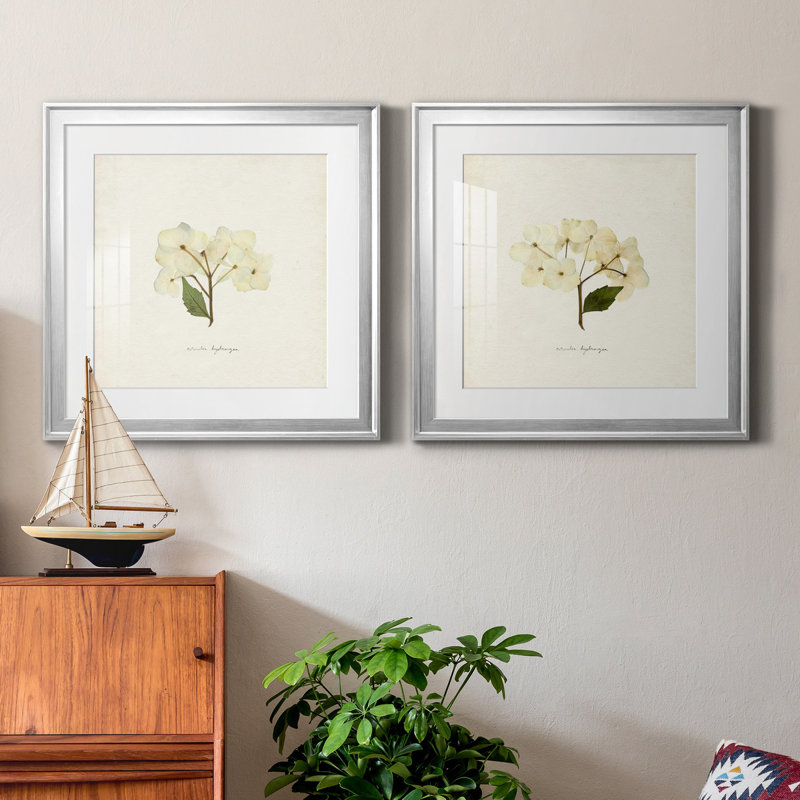 Cornales Hydrangea I Cornales Hydrangea I - ensemble de 2 reproductions de cadres photo, H 22,5 po x l 45 po, Argent argent