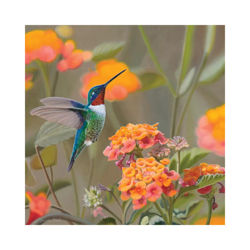 Color My World by Camille Engel - Wrapped Canvas Print, 30.48cm H  x  30.48cm W  x  1.91cm D