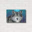 "Loup gris II" par Carolee Vitaletti-304257486
