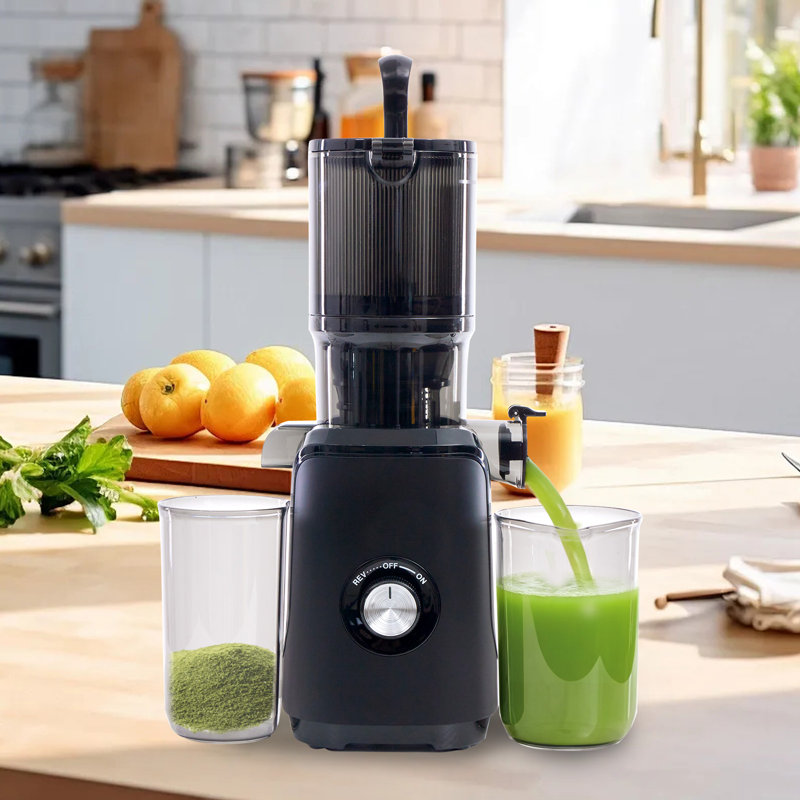 Extracteur de jus à pressage à froid, extracteur de jus à mastication lente, extracteur de jus 200W, pour légumes et fruits entiers, facile à nettoyer