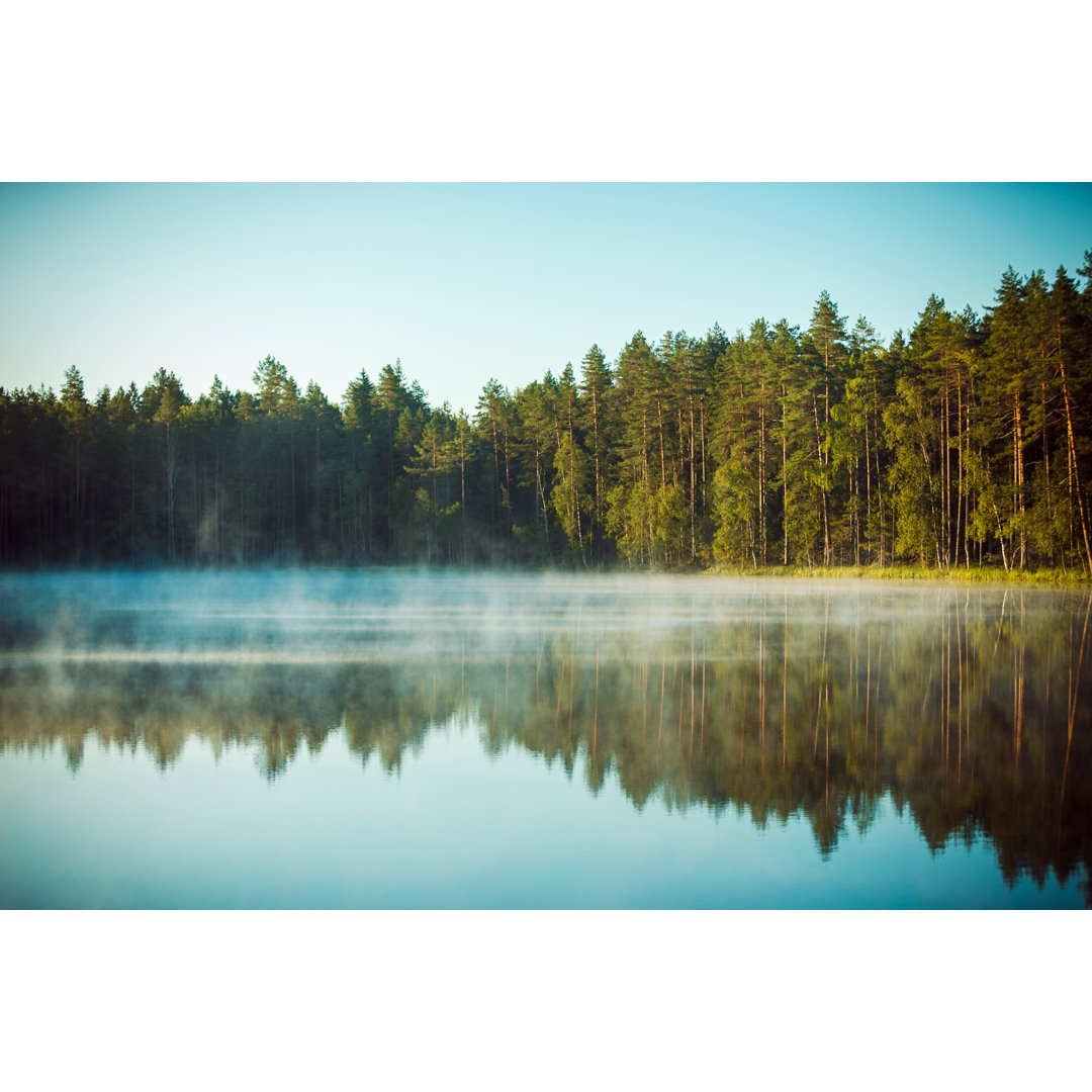 Nebel der Morgendämmerung über dem Waldsee von Druvo - Kunstdrucke auf Leinwand