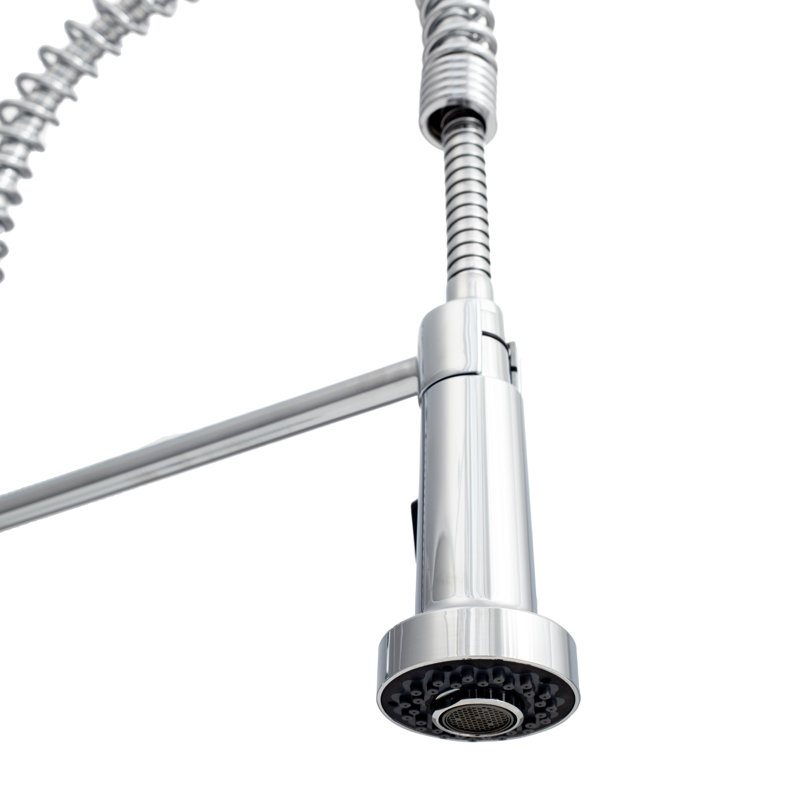 Apollo Pull Down Single Handle Kitchen Faucet with Side Spray and Accessories, Chrome