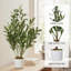 60 cm H Faux Plant