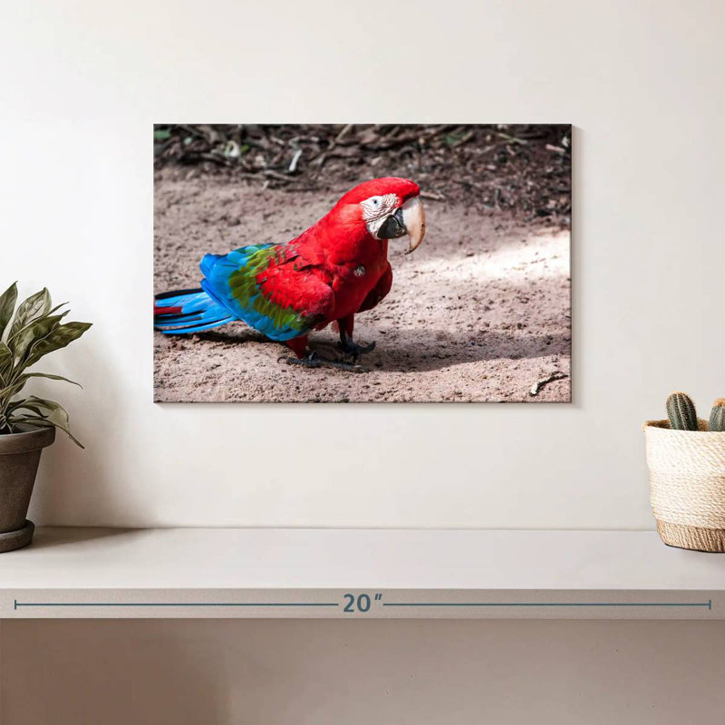 Brampt Brazilian Red Macaw, 8" H x 12" W