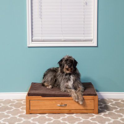 Canapé pour chien Bethune