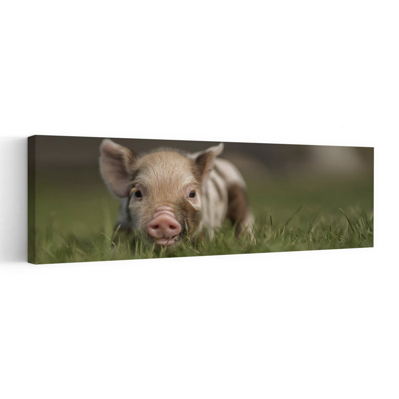 Cute Baby Piglet Abstract Contemporary Landscape Nature Wall Art, 91.44 cm H x 30.48 cm W