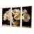 Toile avec cadre flottant or