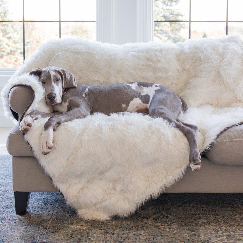 Waterproof Blanket Puprug Blanket PAW Dog Blanket Waterproof Throw