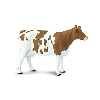 Vache Ayrshire