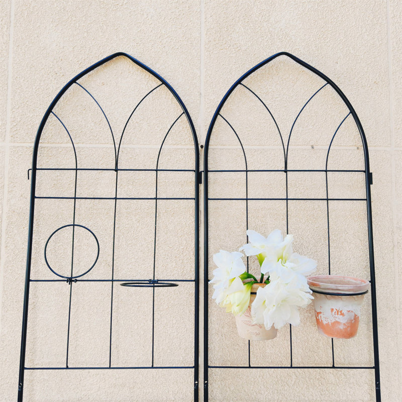 Ensemble de 2 treillis de jardin en métal 78,7 "x 19,7" antirouille pour plantes grimpantes