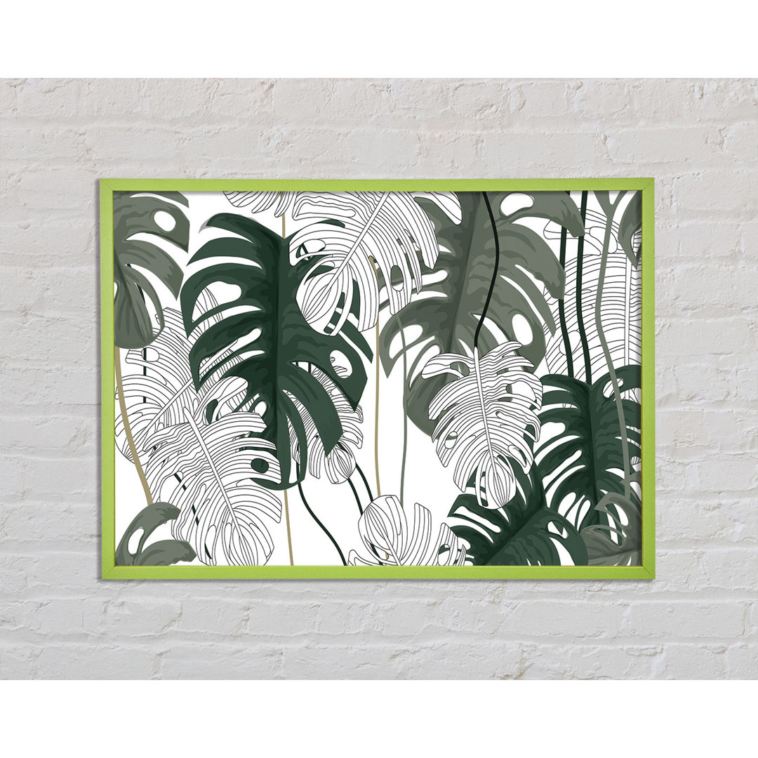 Gerahmtes Poster Aleighsha Cheese Plant Leaves