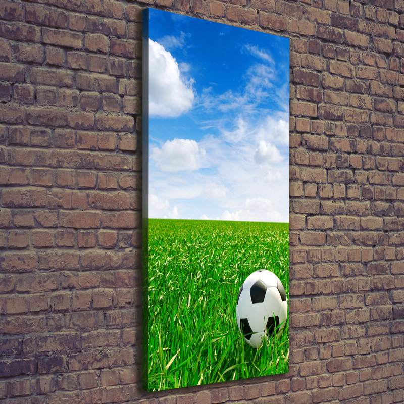 Football On The Meadow - Wrapped Canvas Print