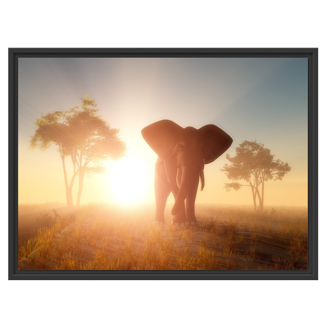 Elefant in der Wüste Floater Frame Graphic Art Print auf Papier